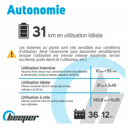 BEEPER - Cross Trottinette électrique Tout Terrain 1000W Batterie  Lithium-ION 36V 12Ah FX1100-S : : Sports et Loisirs