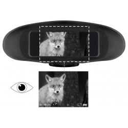 Bresser Digital NV Binokular Appareil de Vision Nocturne avec Fonction denregistrement Monochrome 3,5 x 