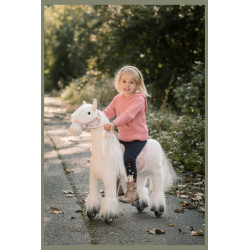 Chevaux et animaux à roulettes pour enfants