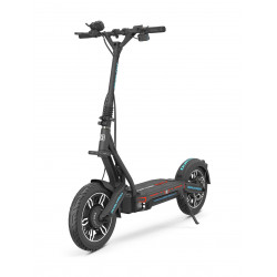 Trottinette électrique Dualtron City - MINIMOTORS