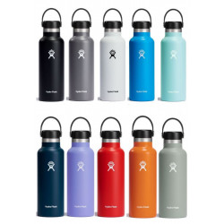 Bouteille isotherme Standard Mouth Flex Cap (532 ml) - HYDRO FLASK