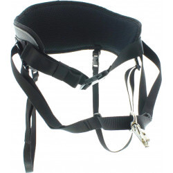 Ceinture STYLE grise I-dog