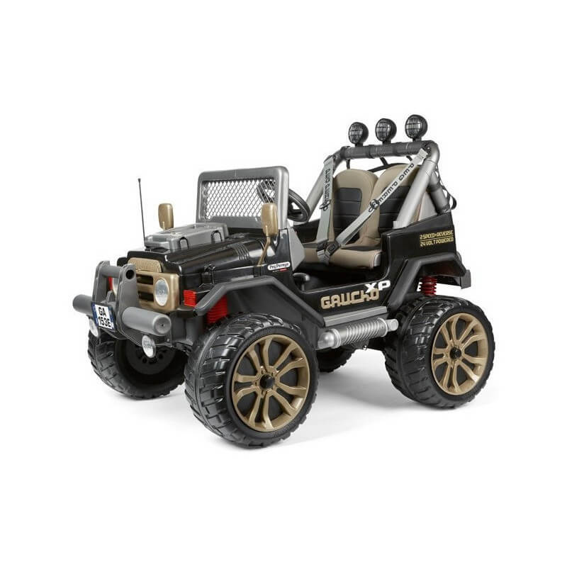 Buggy Gaucho XP