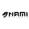 NAMI ELECTRIC